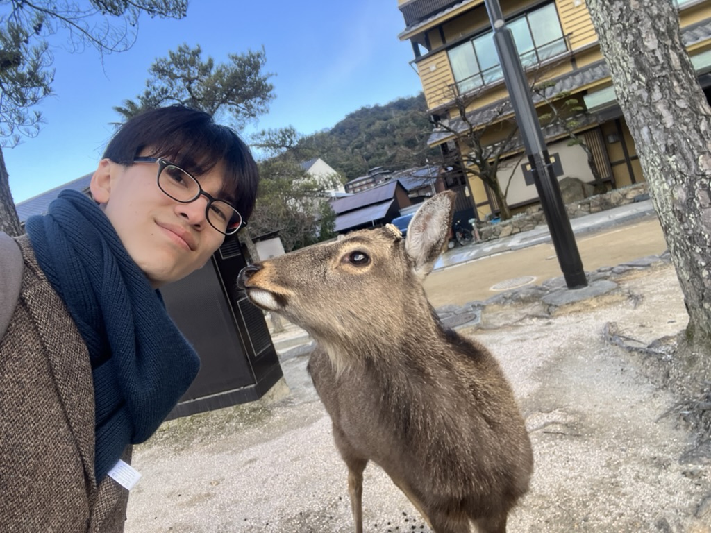 まさともと宮島の鹿
